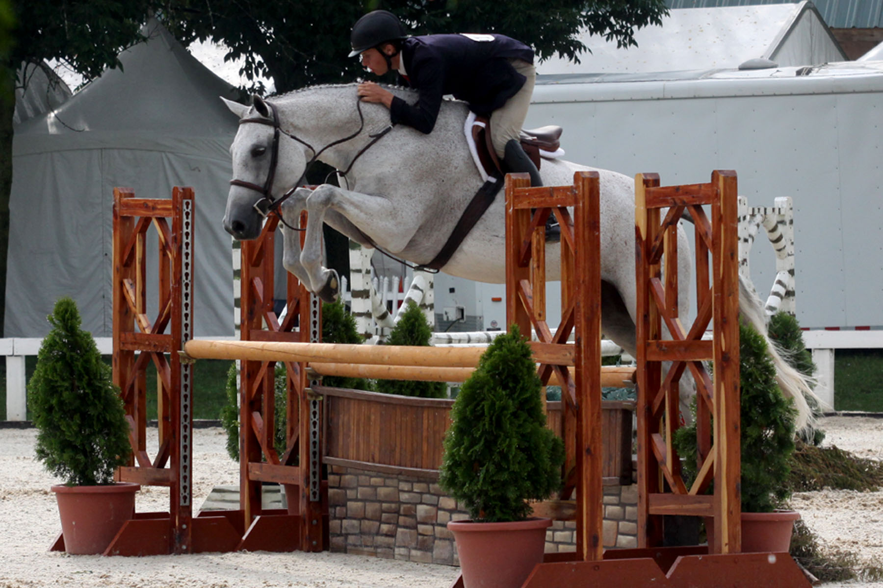 Large Junior 16-17 Hunter Tricolor Goes to Shawn Casady and Vida Blue at Kentucky Summer Horse Show