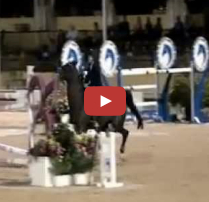 Margie Engle & Lord Spezi Compete at ESP Holidays & Horses FEI WC Qualifier